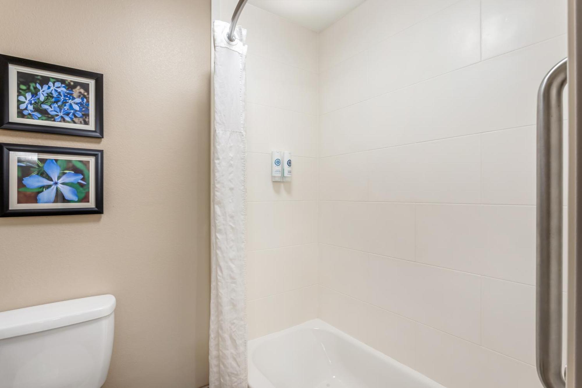 Comfort Inn & Suites Conway Esterno foto