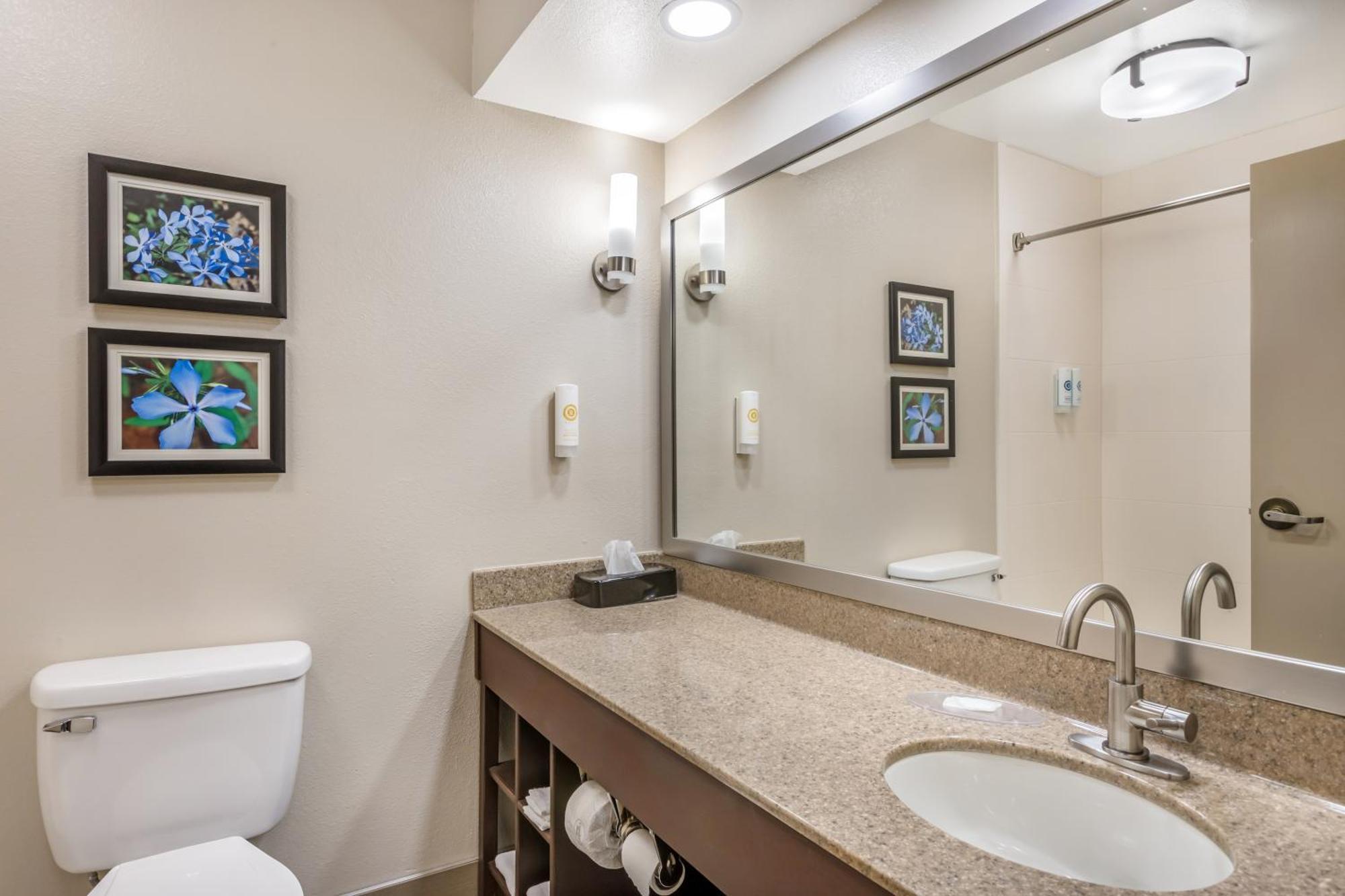 Comfort Inn & Suites Conway Esterno foto